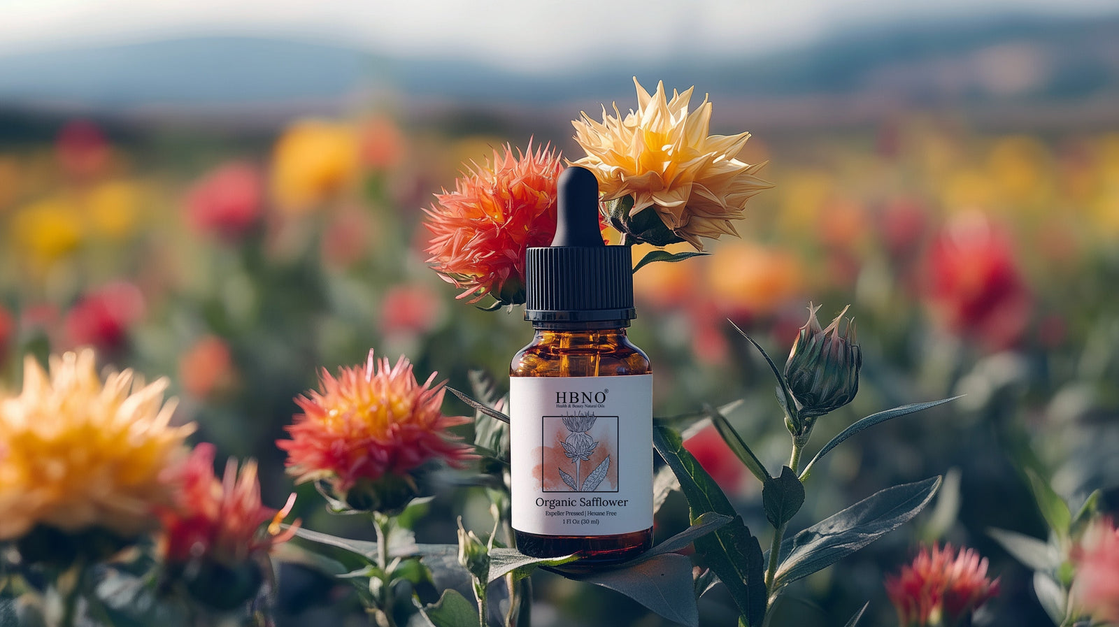 Linoleic vs High Oleic Safflower Oil: Key Differences