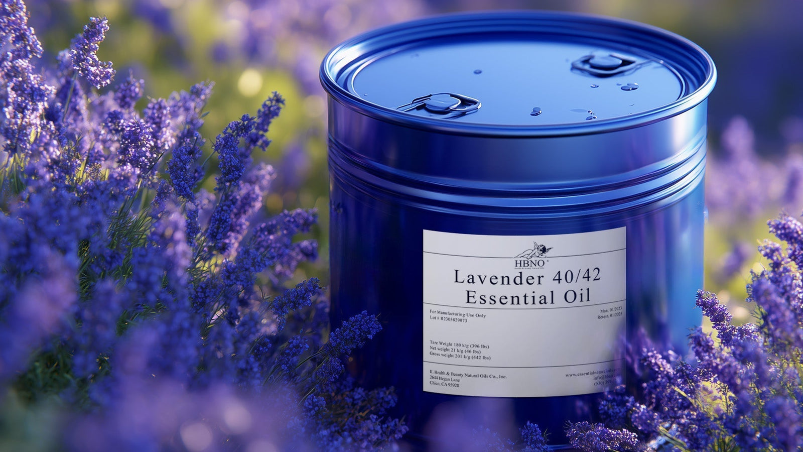 Lavender 4042 Essential Oil What You Need to Know