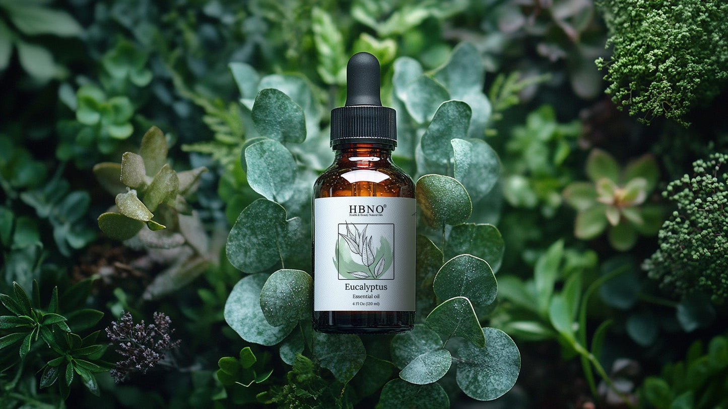 Uses and Benefits of Eucalyptus Radiata Essential Oil