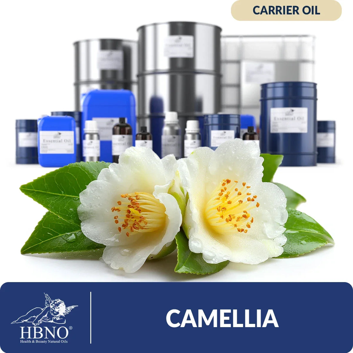 Camellia Seed Carrier Oil