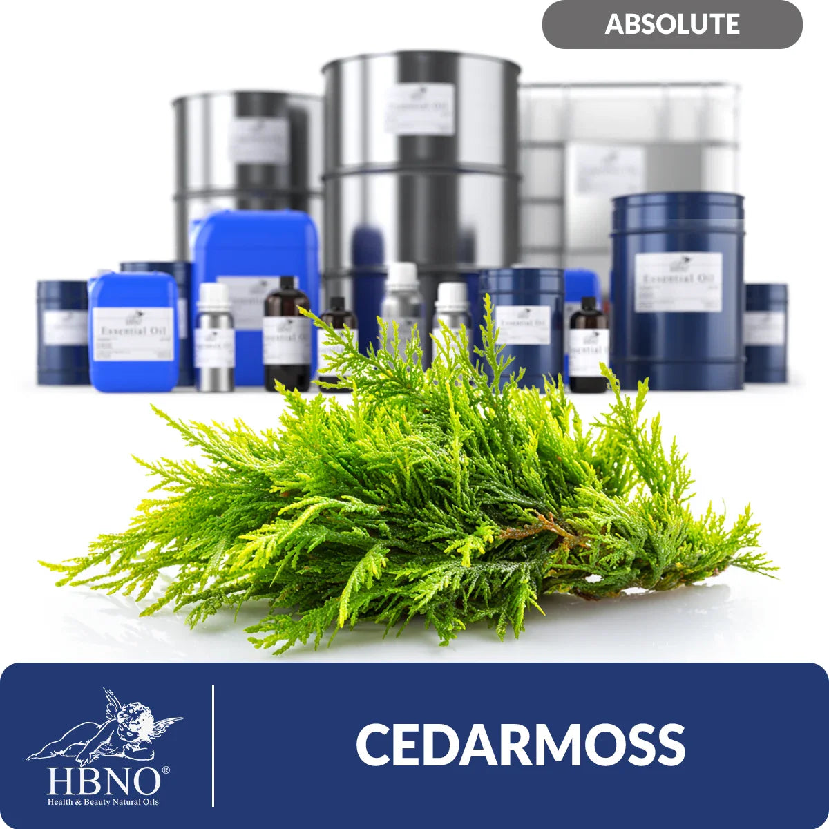 Cedarmoss Absolute