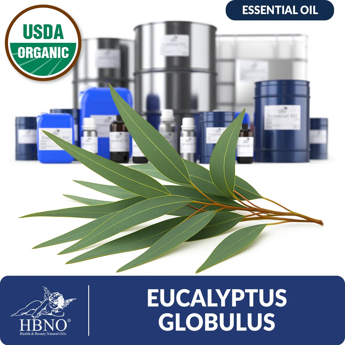 Organic Eucalyptus Globulus Essential Oil