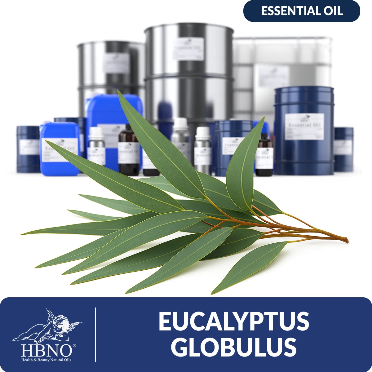 Eucalyptus Globulus Essential Oil
