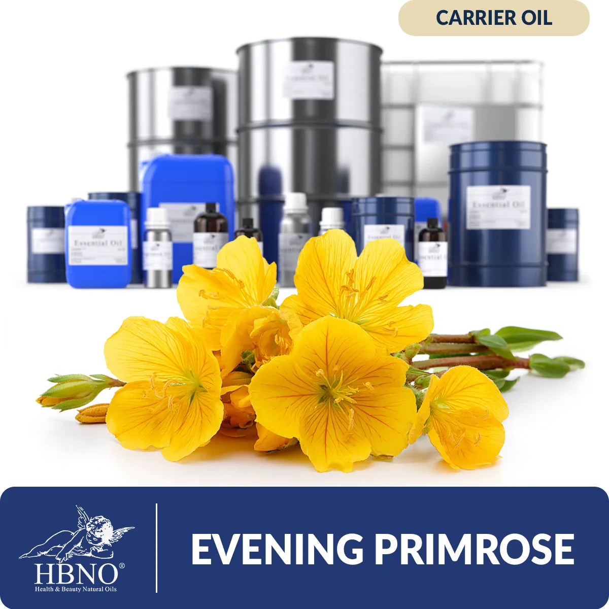 Evening Primrose Carrier Oil