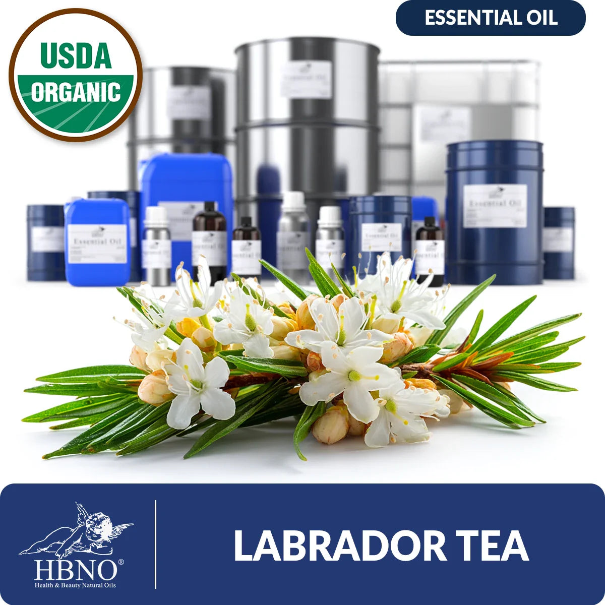 Organic Labrador Tea Essential Oil