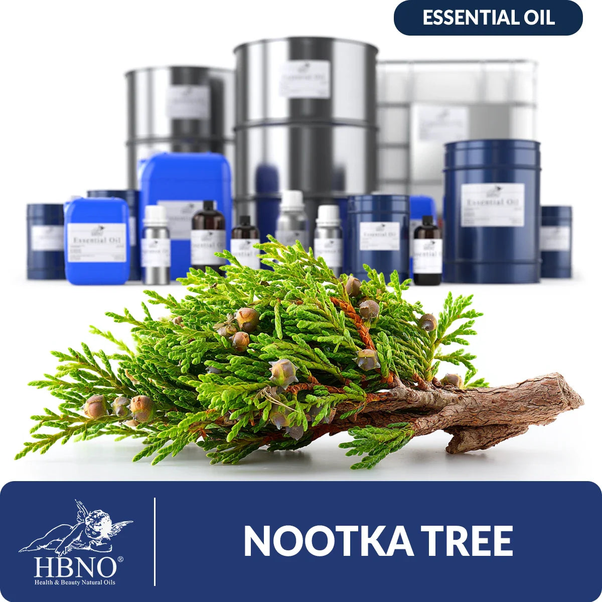 Nootka Tree Essential Oil
