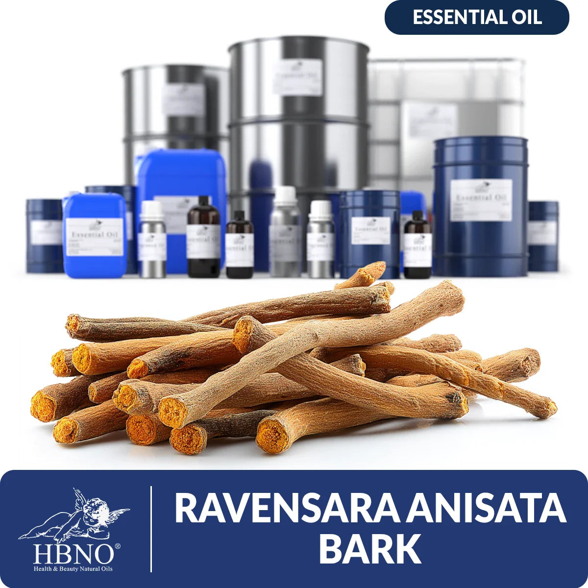 Ravensara Anisata Bark Essential Oil