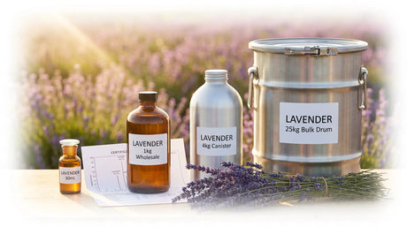 Lavender Essential Oil Bulk: Pricing Tiers, Quality Verification and Grade Selection for First-Time Buyers
