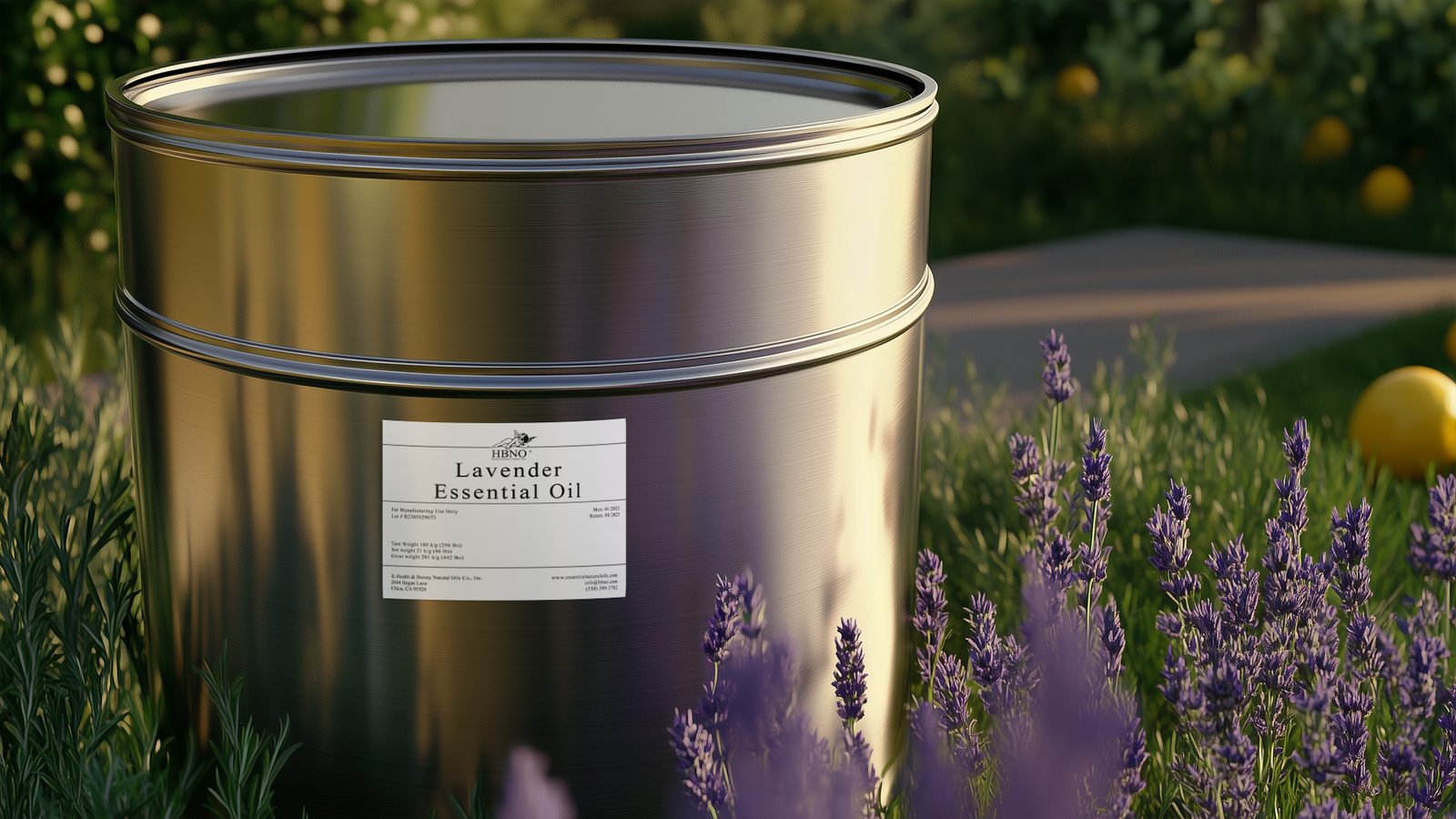 Essential Oils: Must-Have Oils for Every Home