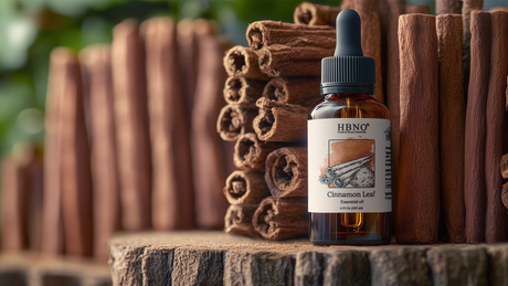 Ceylon Cinnamon Oil
