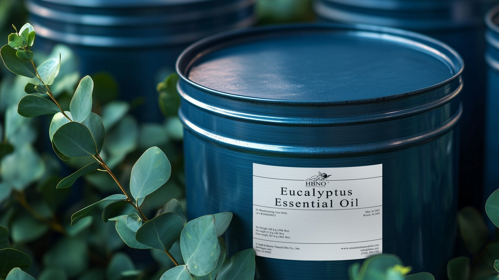 Eucalyptus Globulus Essential Oil: Refreshing Respiratory Relief