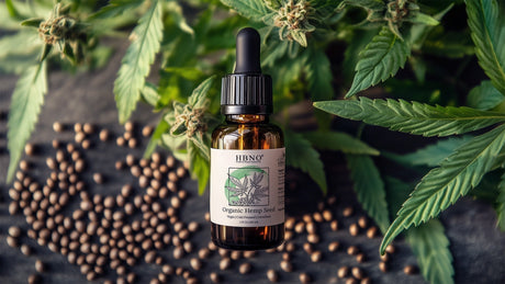 best hemp seed oil