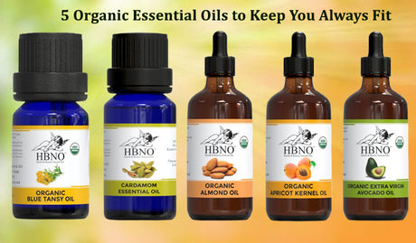 5 Organic Essential Oils to Keep You Always Fit