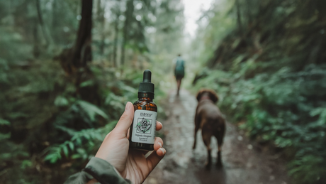 Oregano Oil for Dogs: Benefits and Safety