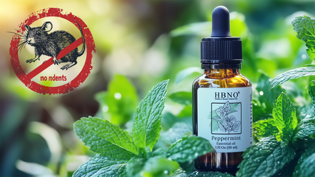 Peppermint Essential Oil for Rodents: Repellent and Uses