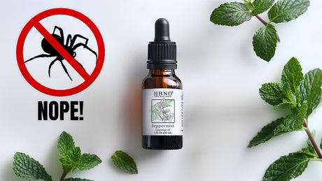 Peppermint Oil for Spiders: How to Keep Them Away Naturally