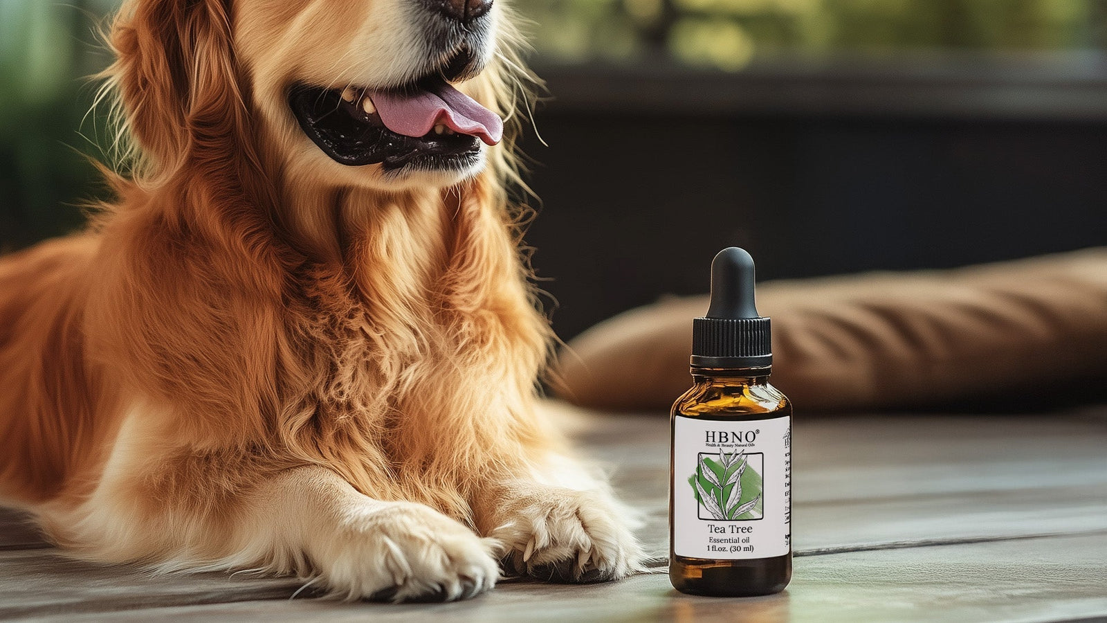 Tea Tree Oil for Dogs: Safety, Benefits, and How to Use It Properly