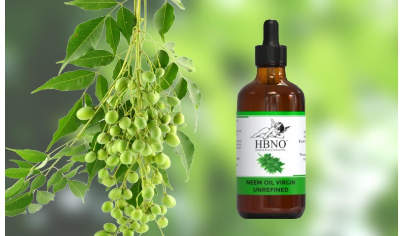 Abundant Benefits & Uses of Neem Oil