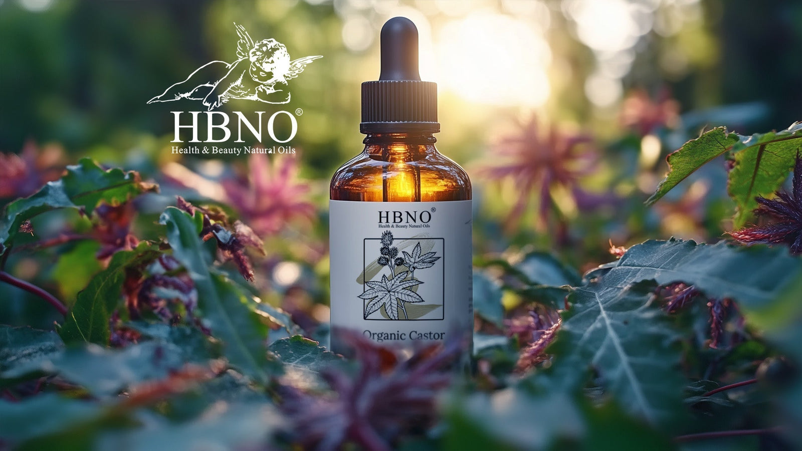 Castor Oil on Stomach: Benefits, Wraps & How to Use It