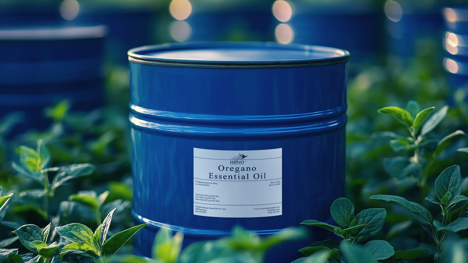 Oregano Essential Oil: friend to the Organic Beekeeper
