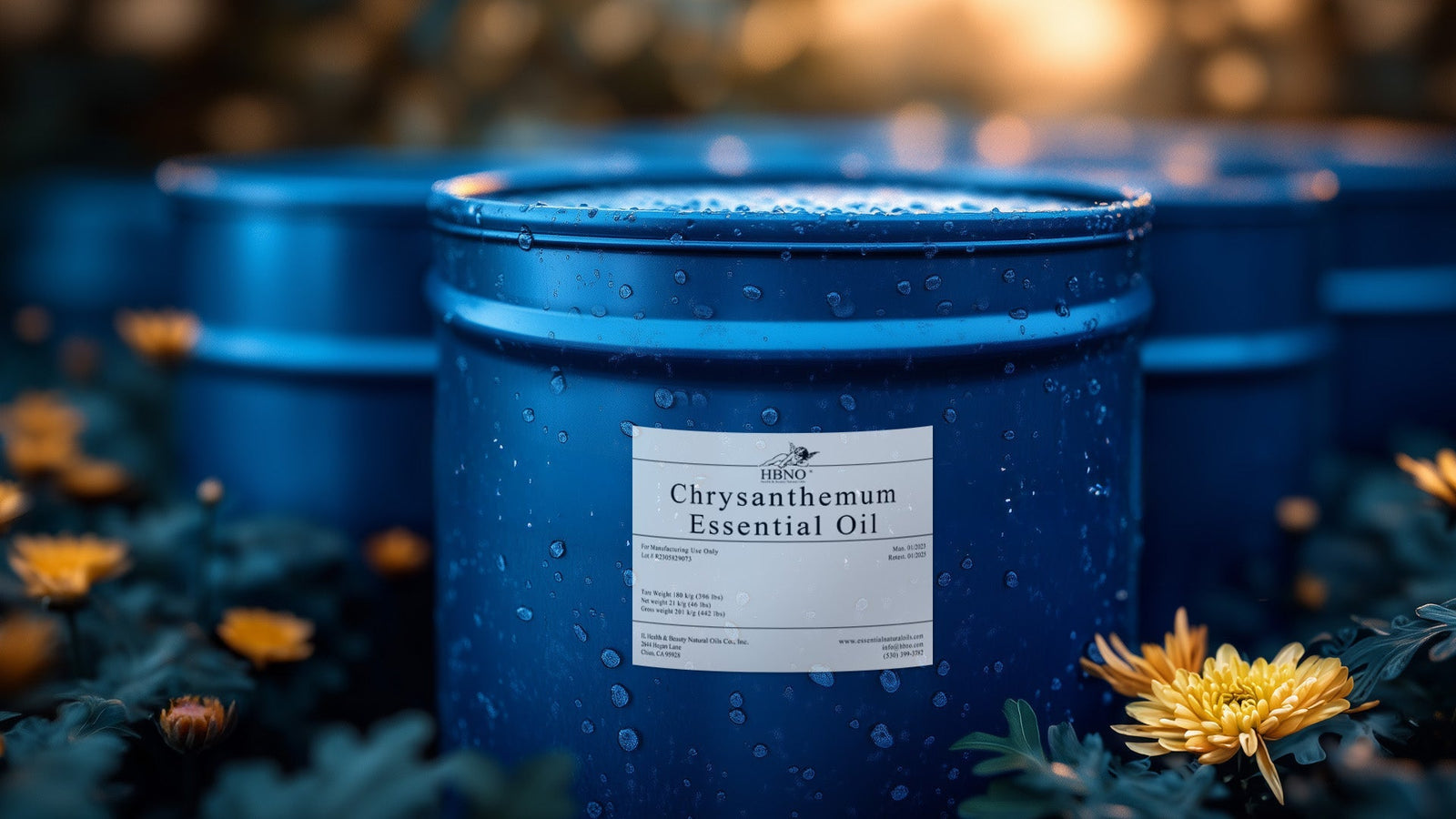 Chrysanthemum Essential Oil: Floral Elixir for Relaxation