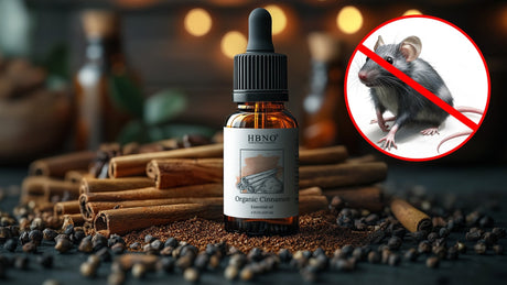 Cinnamon Oil for Mice: How to Use, Make & Where to Buy It