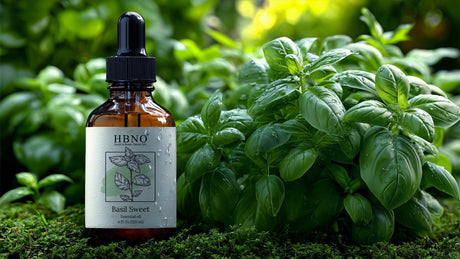 Exploring Different Types of Basil Essential Oil