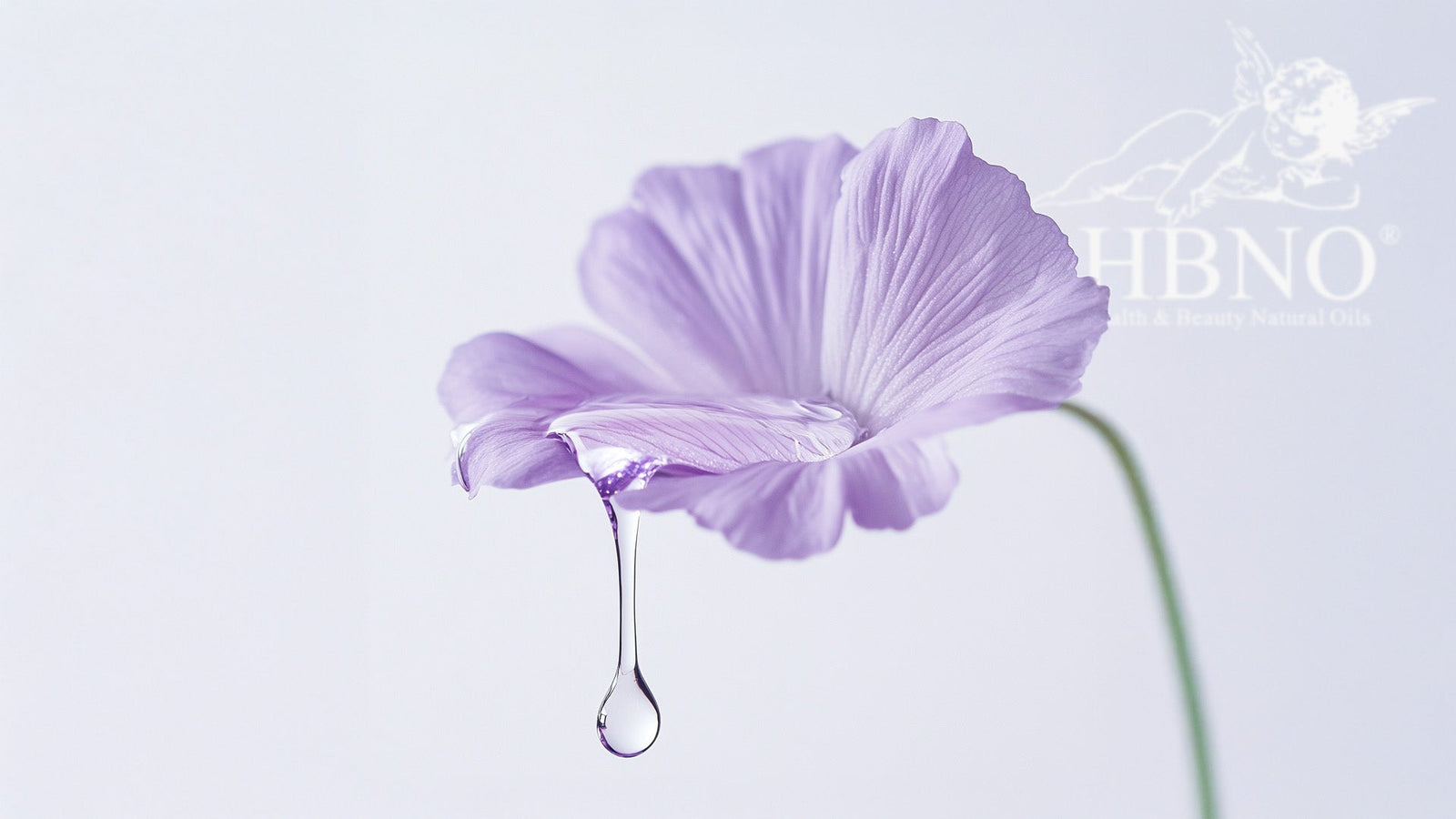 From Petals to Potions: Exploring the World of Flower Waters
