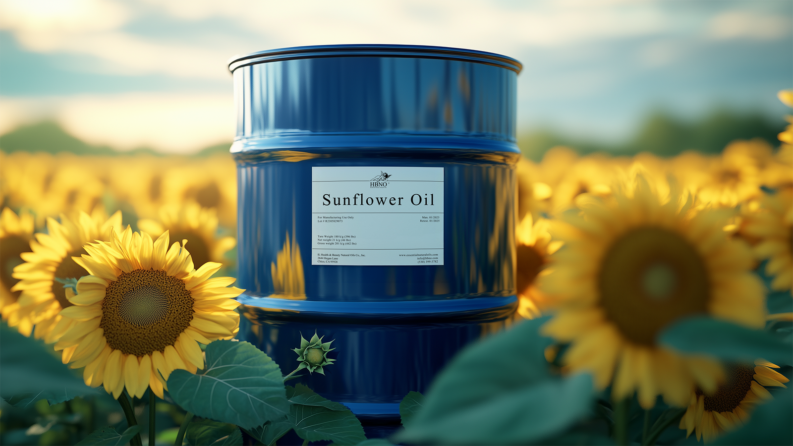 Is Sunflower Oil Bad for You? What to Know About Its Health Risks