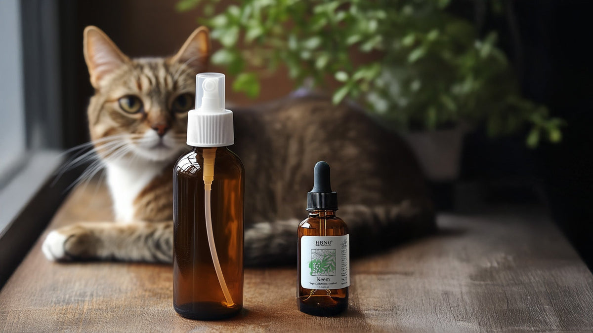 Neem Oil Cats: Safety, Flea Control & How to Use It Effectively