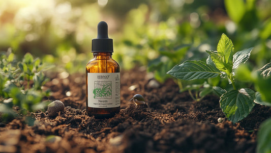 Neem Oil for Slugs Natural Deterrent and Garden Care