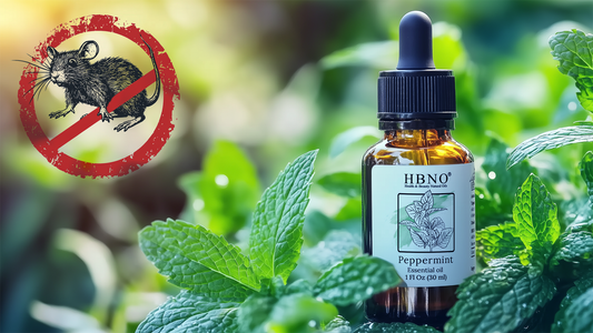Peppermint Oil for Rats: Repellent Recipes & How to Use It