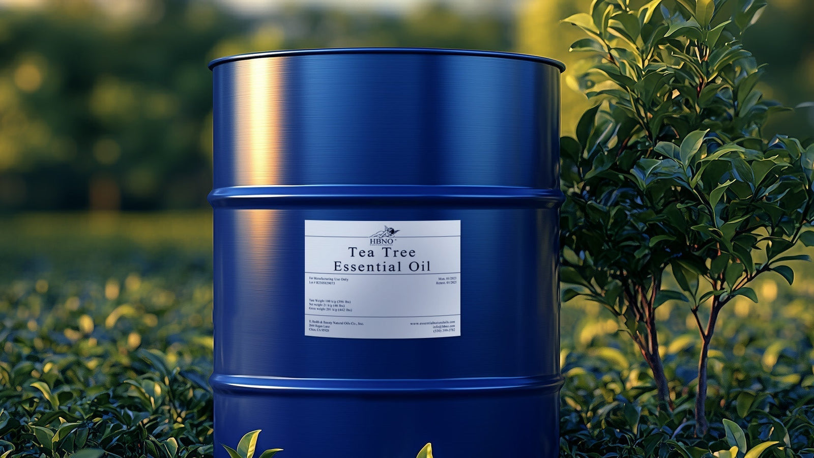 Tea Tree Oil Face Wash for Acne, Dry Skin, and Clearer Skin