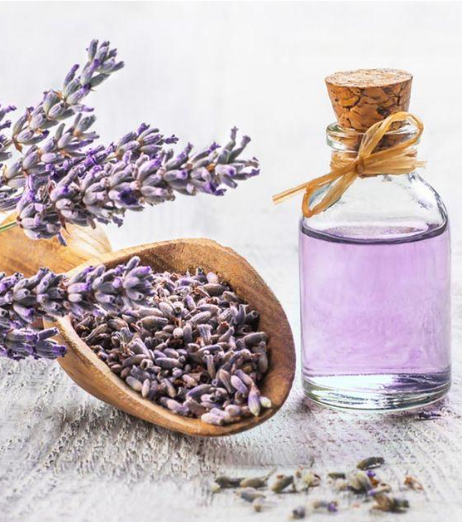 Lavender Oil: Uses, Benefits, and Online Buying Guide
