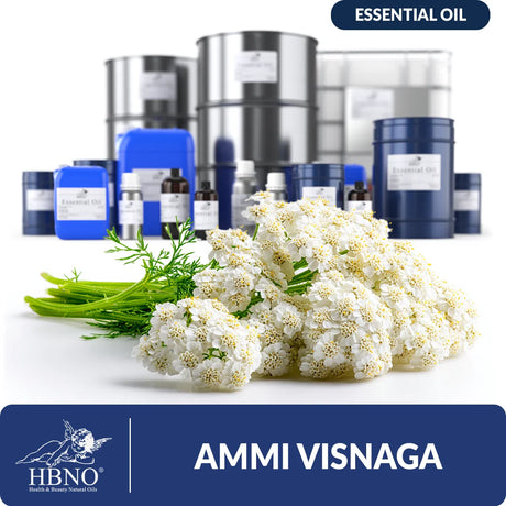 Ammi Visnaga Essential Oil