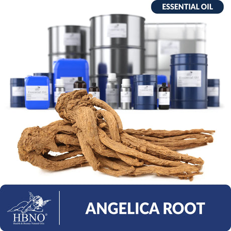 Angelica Root Essential Oil