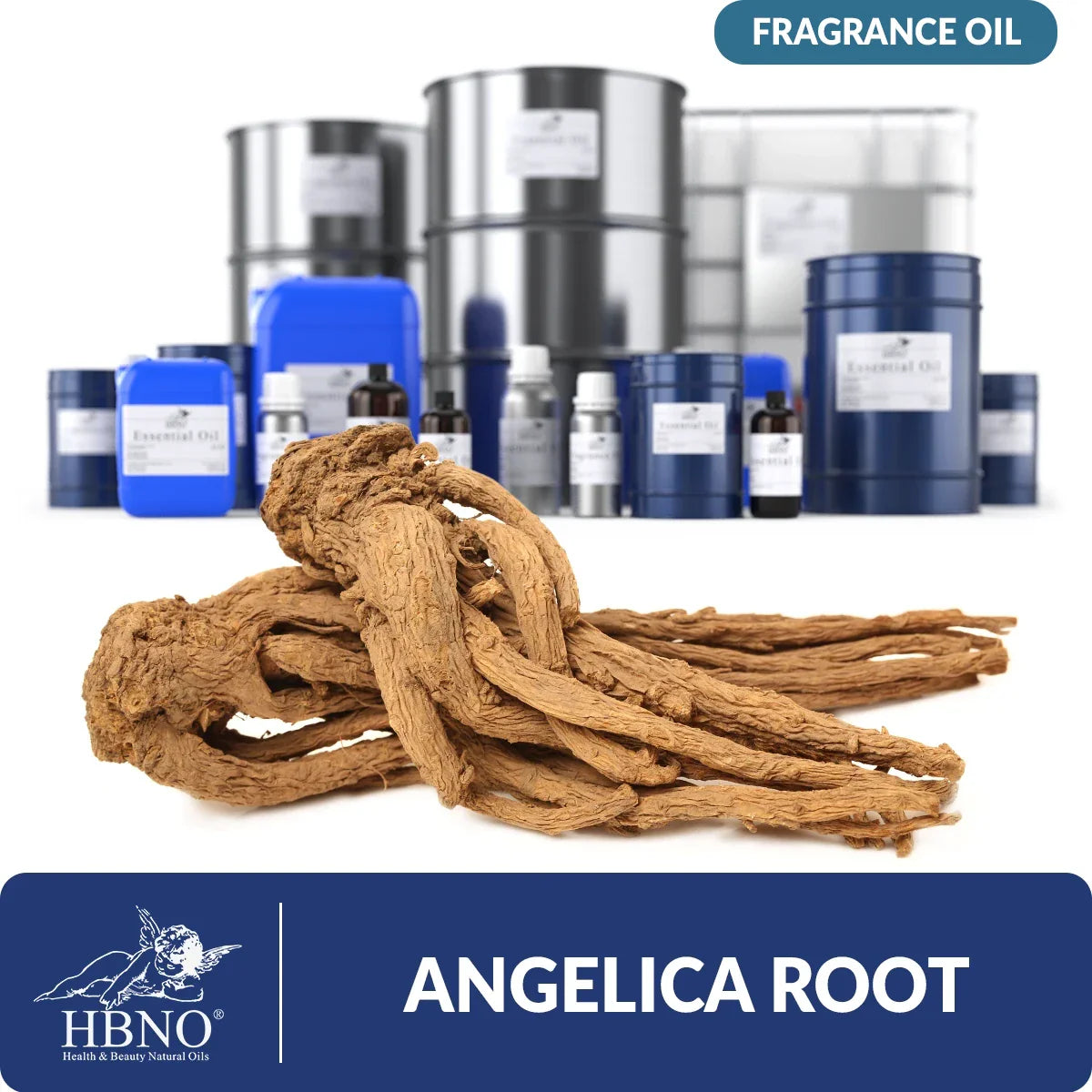 Angelica Root Fragrance