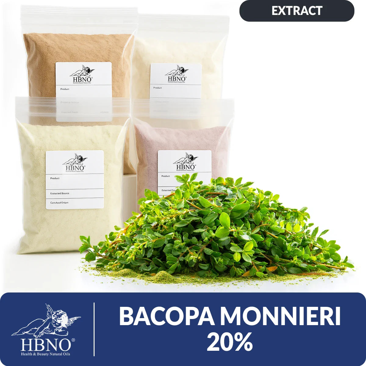 Bacopa Monnieri Extract - 20%