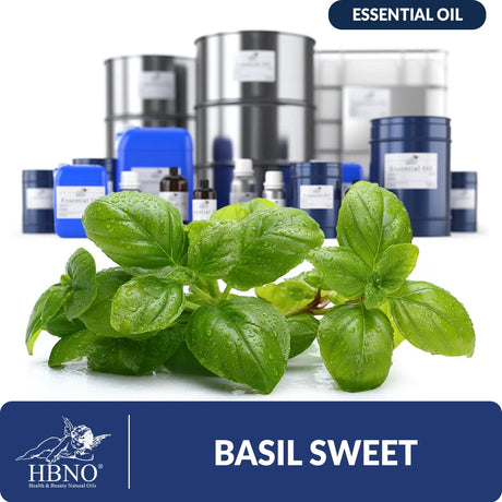 Sweet Basil Essential Oil
