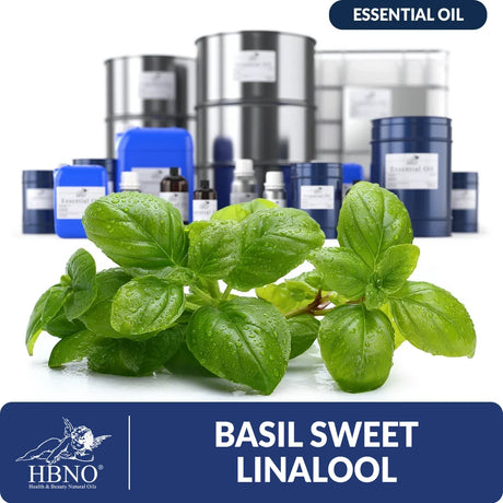 Basil Sweet Linalool Essential Oil