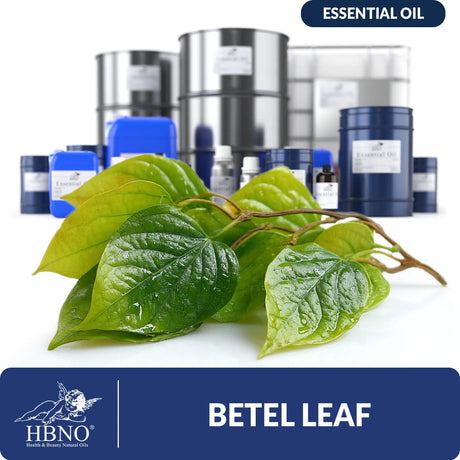 Betel Leaf Essential Oil