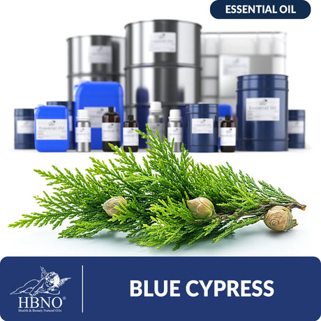 Blue Cypress Essential Oil