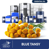 Blue Tansy Essential Oil
