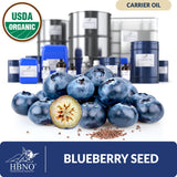 Blueberry Seed Carrier Oil