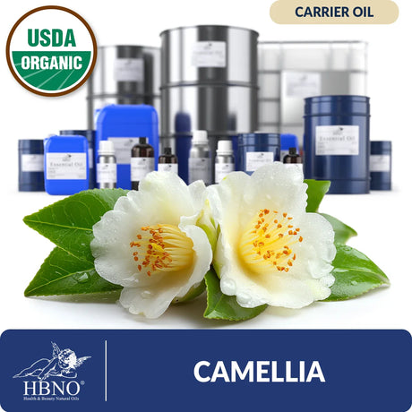 Organic Camellia Carrier Oil
