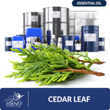 Cedar Leaf Essential Oil