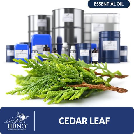 Cedar Leaf Essential Oil