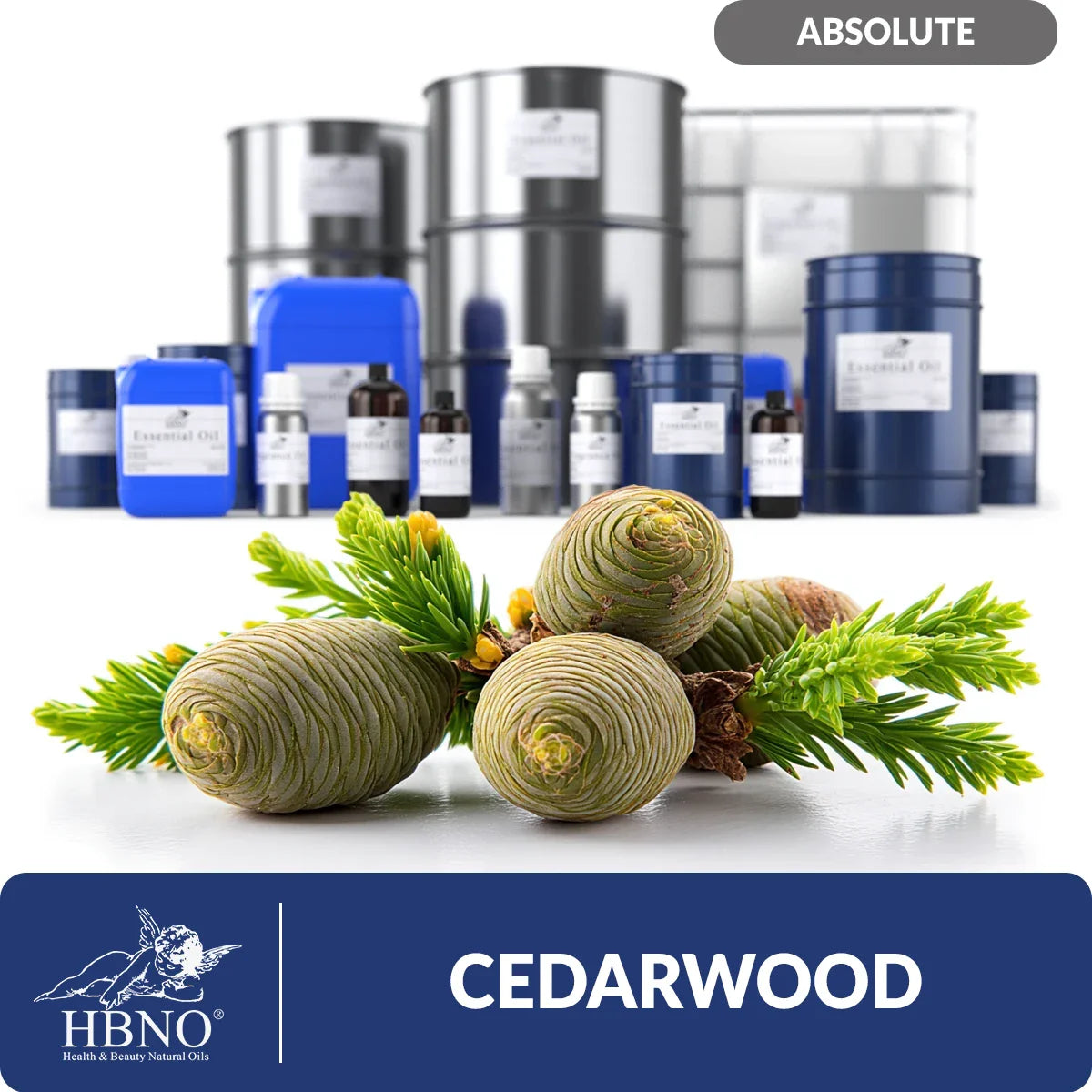Cedarwood Absolute