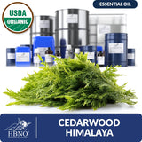 Organic Cedarwood Himalaya Essential Oil
