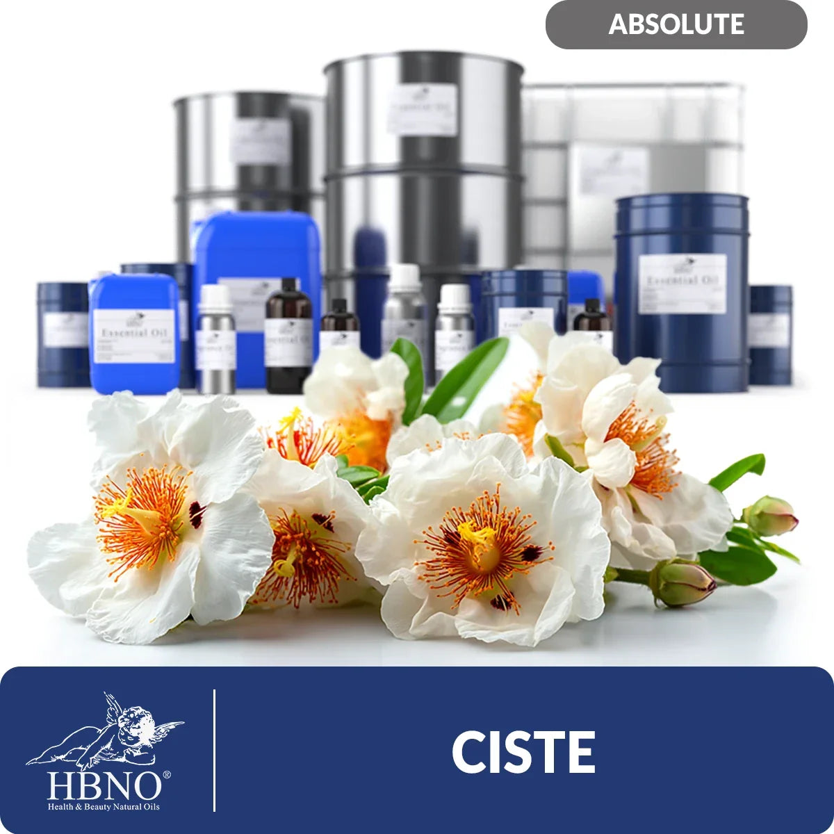 Ciste Absolute